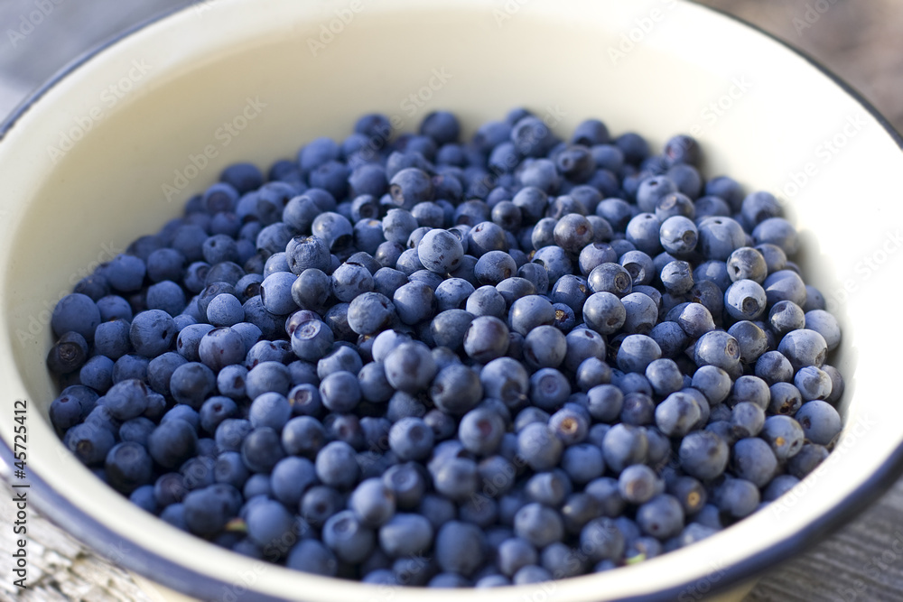 Blueberry Blueberry