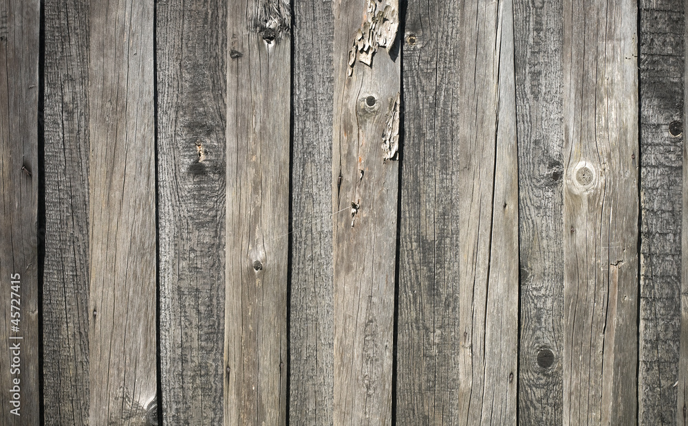 Fototapeta premium Texture of gray weathered wooden lining boards