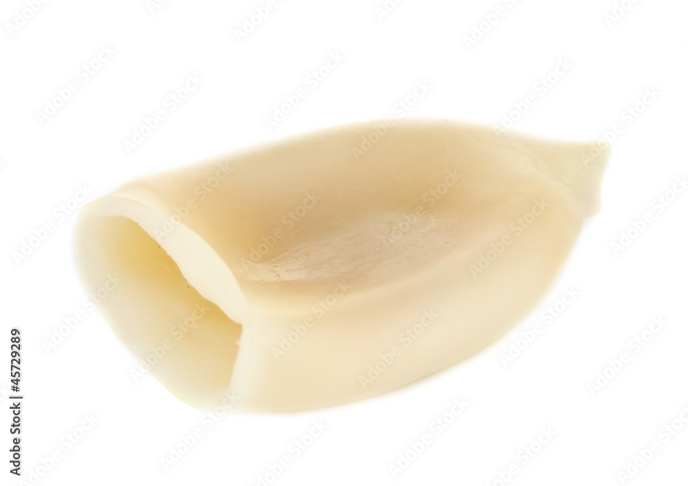 boiled squid isolated on white boiled squid isolated on white