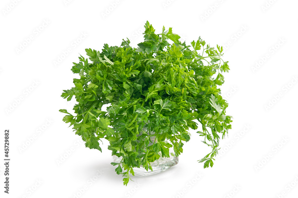 Obraz premium green leaves of parsley isolated on white background