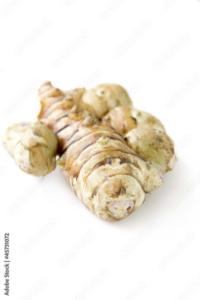 Jerusalem artichoke on a white background Jerusalem artichoke on a white background