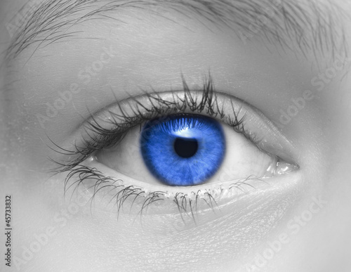Auge