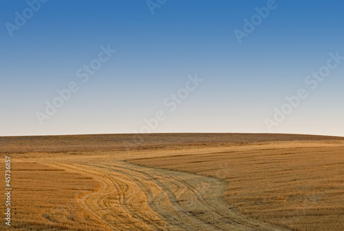 Tracks through empty harvested fields under deep blue sky