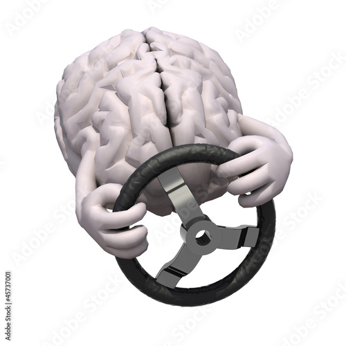 human brain with arms and steering wheel car photo