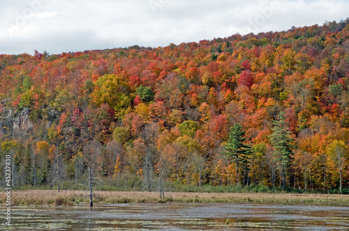 Fall landscape