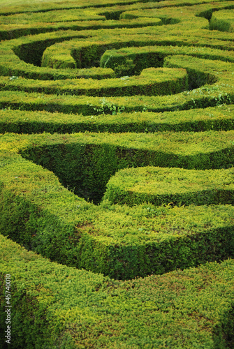 Spiral maze