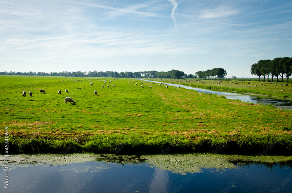 countryside - the Netherlands countryside - the Netherlands