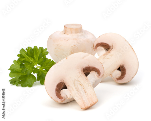 Champignon mushroom and fresh parsley