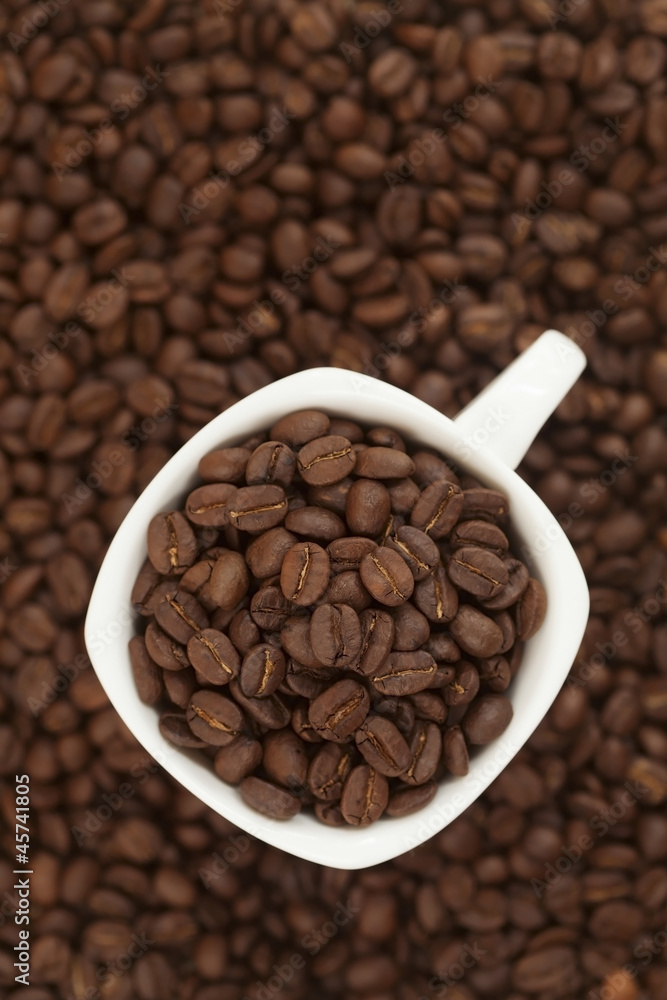 Fototapeta premium coffee beans in a cup