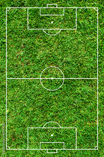 Football or soccer green field