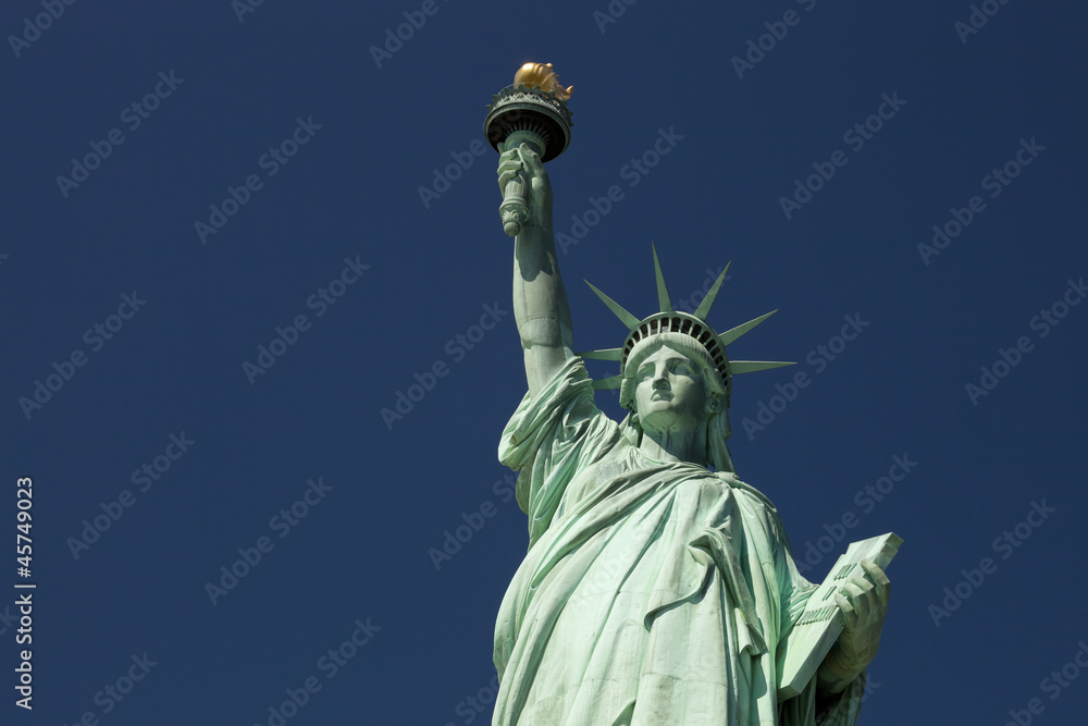 Fototapeta premium The Statue of Liberty
