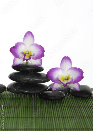 Two orchid with stacked of stones on green bamboo mat