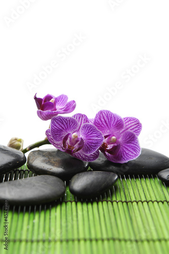 Set of pink branch orchid with zen stone on green mat