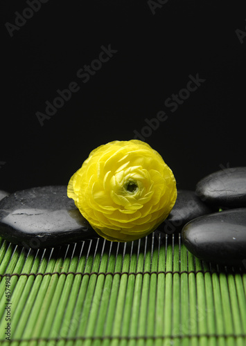 Yellow ranunculus with stones with green mat