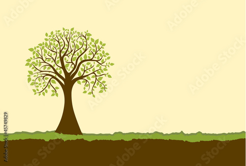 tree vector, copyspace, warm color, background for design