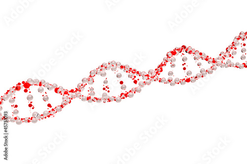 3d model of DNA