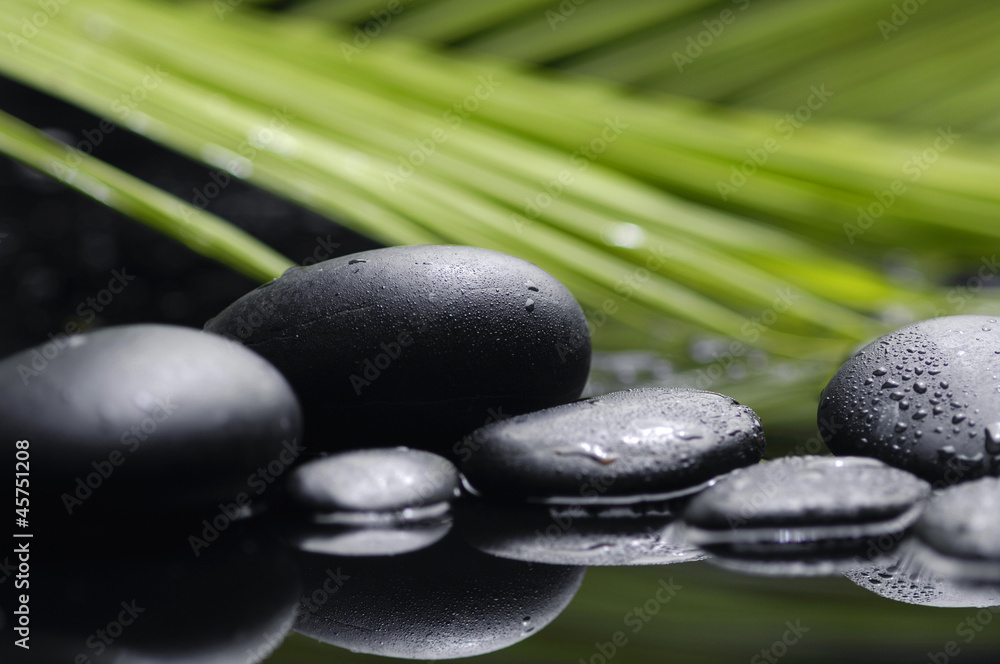 Leaves of palm with zen pebbles –still life Leaves of palm with zen pebbles –still life