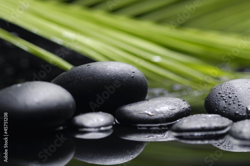 Leaves of palm with zen pebbles    still life