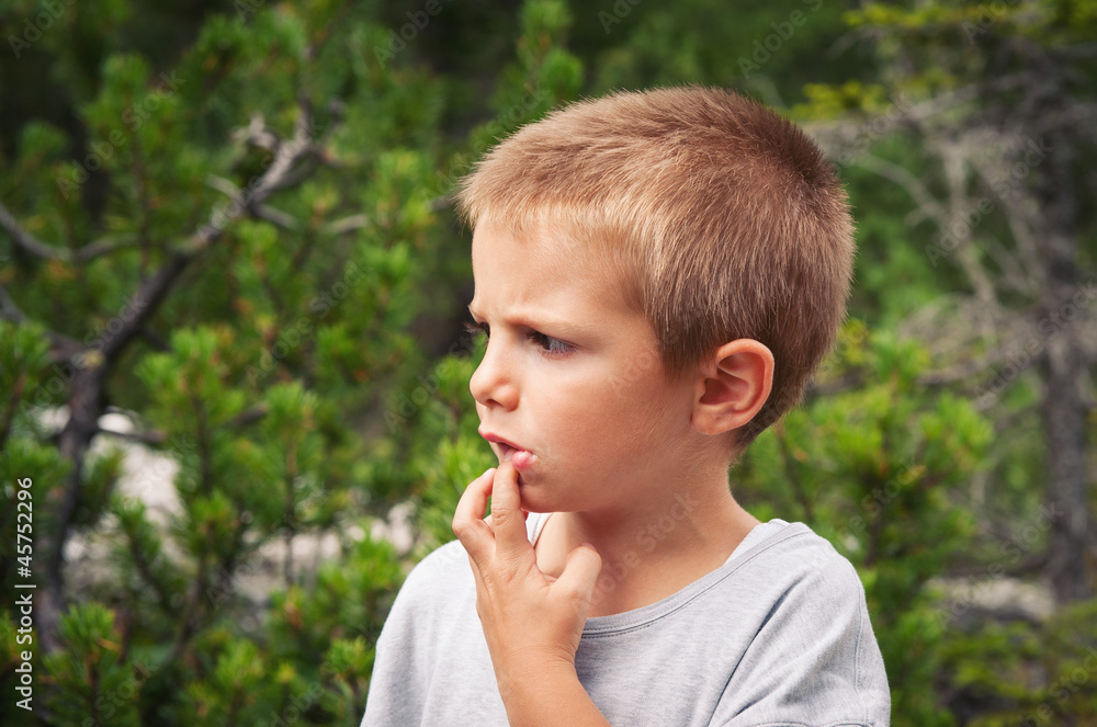 Portrait of four year old boy outdoors in the mountains. Portrait of four year old boy outdoors in the mountains.