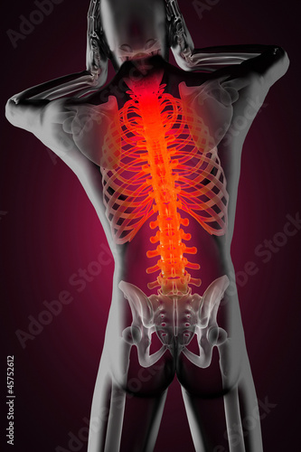 human radiography scan