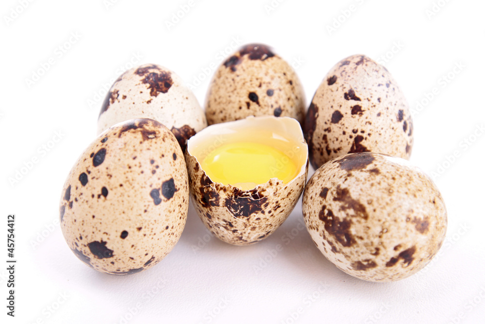quail egg quail egg