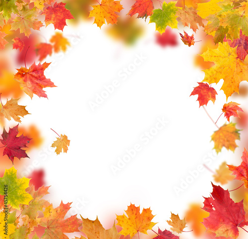 Autumn maple leaves in round shape with free space in center
