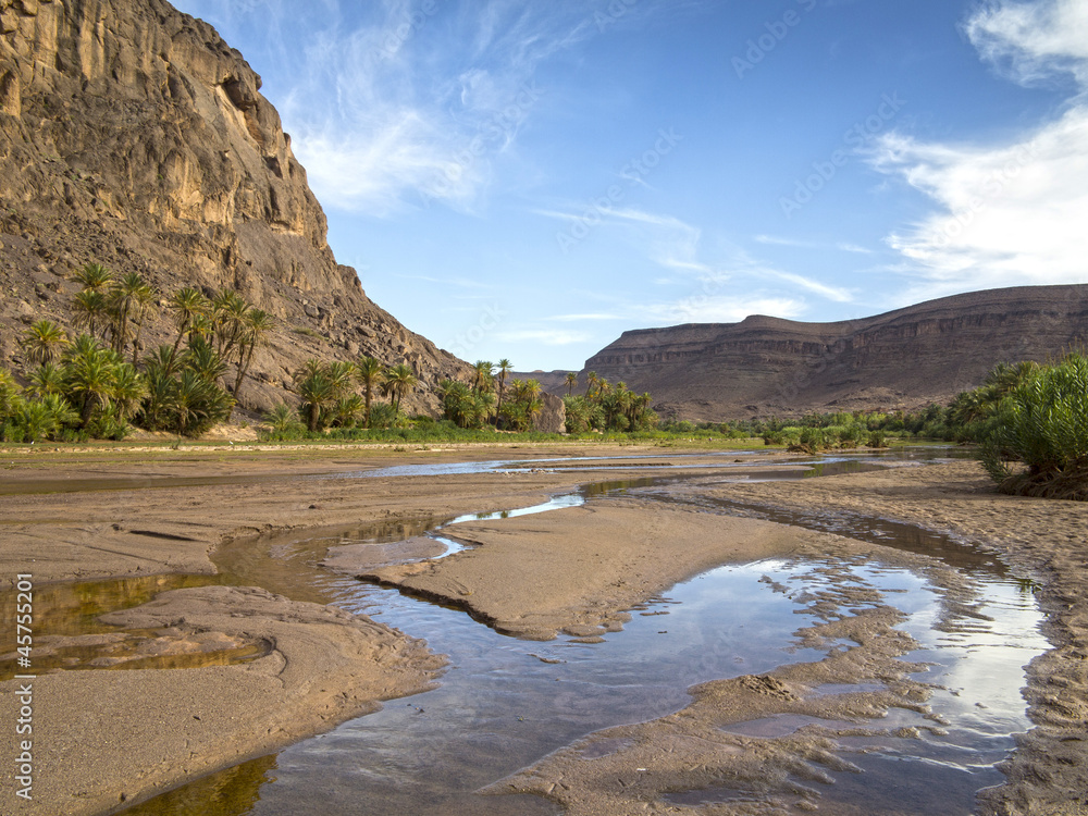 vegetation and water in the oasis of Fint in Morocco