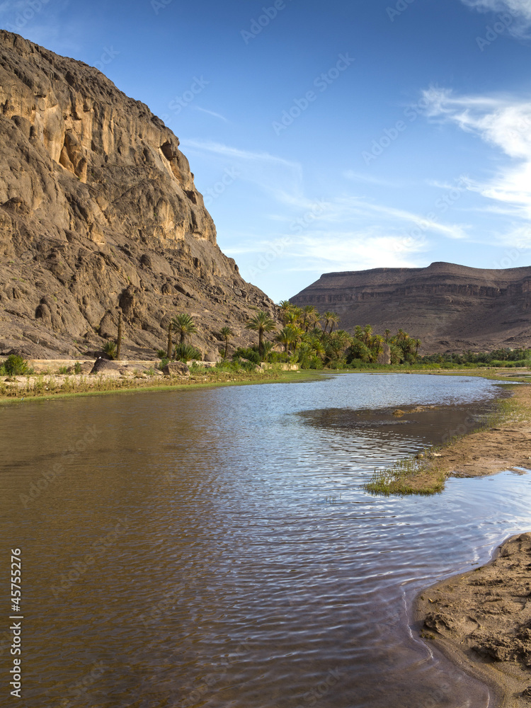 vegetation and water in the oasis of Fint in Morocco