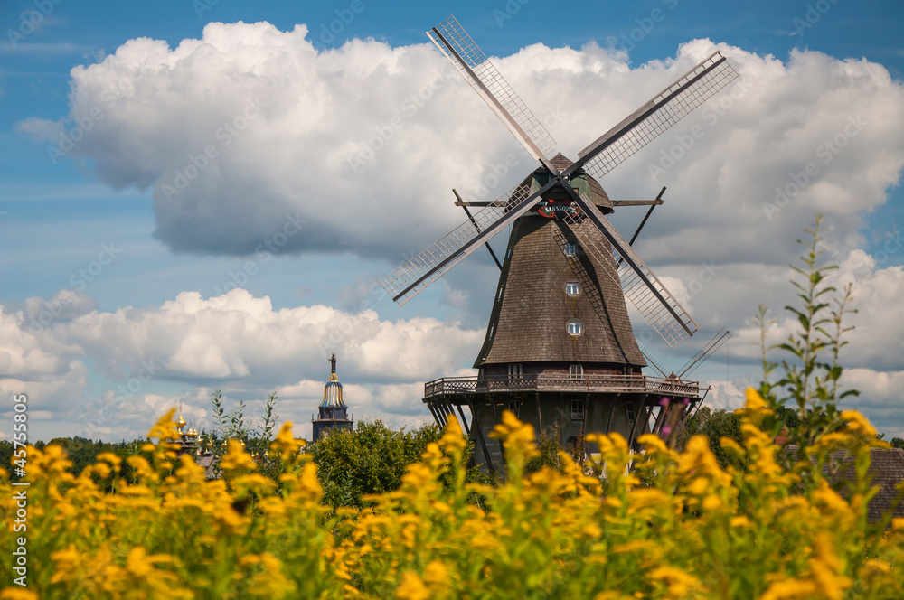 Mill in summer day