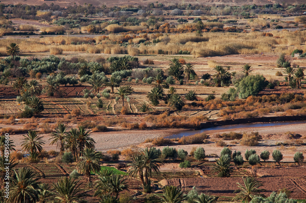 Moroccan fields