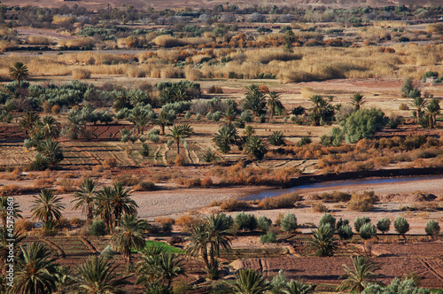 Moroccan fields