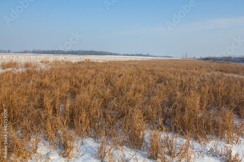 Wallpaper Mural winter steppe Torontodigital.ca