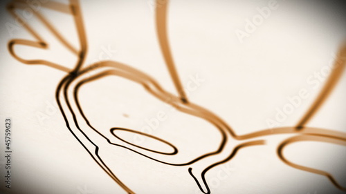 Human Heart structure animation illustration  Shallow Depth of F photo