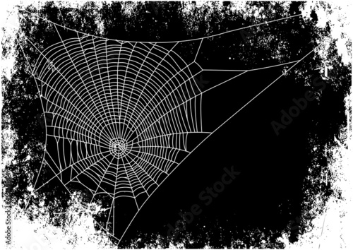 spiderweb background