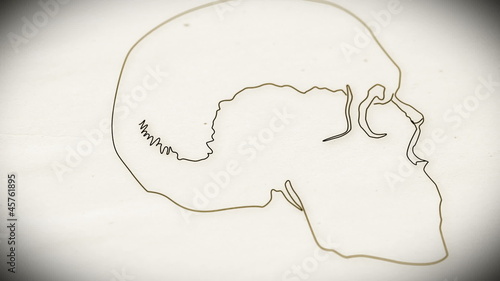 Human Skull structure animation illustration Shallow Depth of Fi
