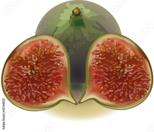 frutto del fico-fruit of the fig tree
