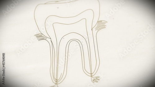 Human Tooth structure animation illustration Shallow Depth of Fi