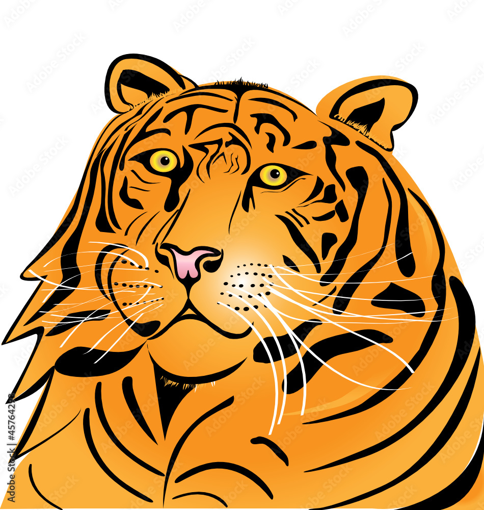 Fototapeta premium Tiger head logo vector