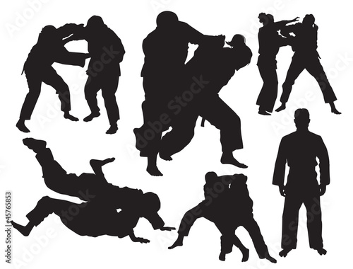 Judo vector
