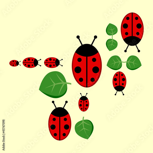 Background with ladybirds