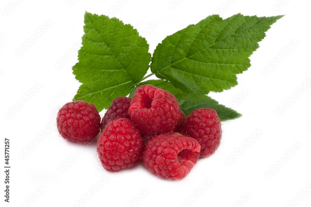 fresh raspberries with leaf isolated on white fresh raspberries with leaf isolated on white