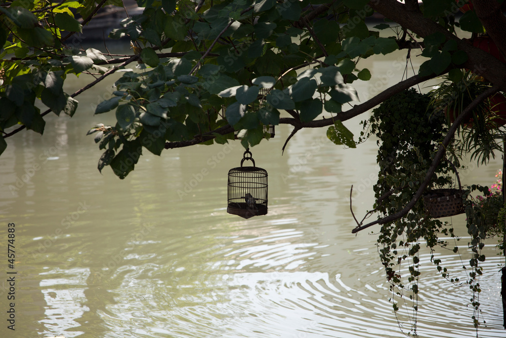 Fototapeta premium Zhujiajiao