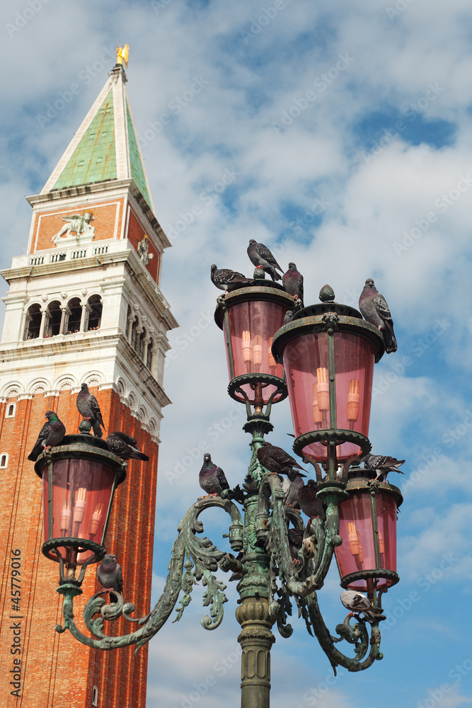 Pigeons on lanterns, Venice, Italy.