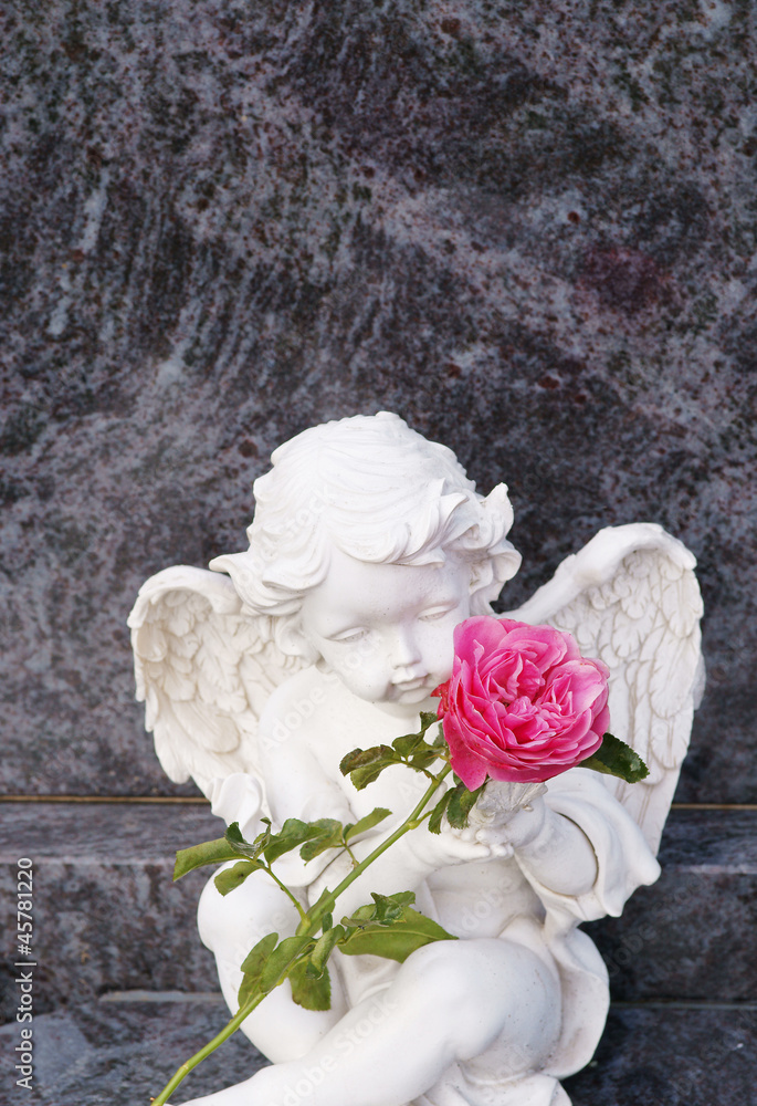 Friedhof, Allerheiligen, Allerseelen, Engel am Grab mit Rose, Textraum,  Copyspace, Hochformat Stock Photo | Adobe Stock