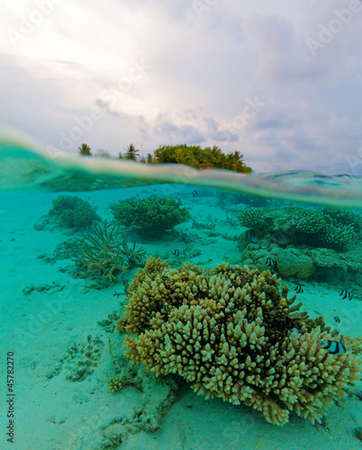 Semi Underwater Scene of Island and Reef © Rostislav Ageev