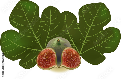 frutto di fico con foglia-fruit with fig leaf