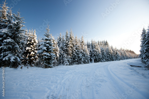 Winter road © Dreef
