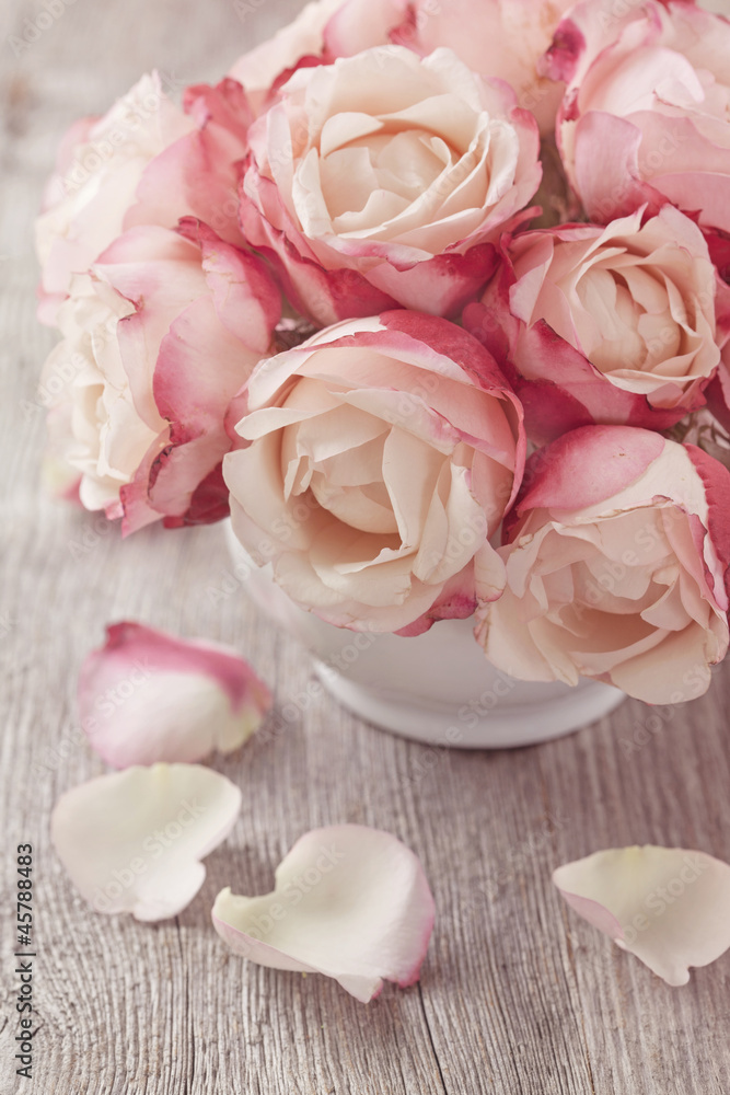 Pink roses - obrazy, fototapety, plakaty 