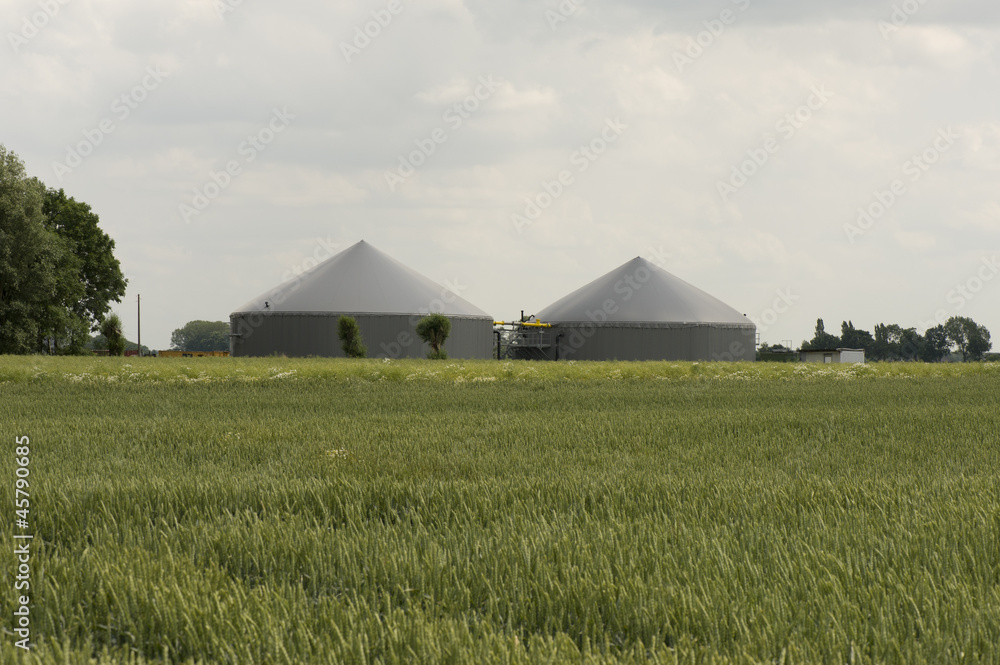 Biogastürme Energie Maisverwertung