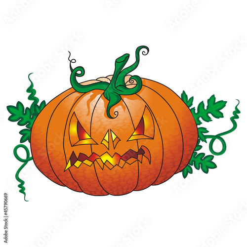 halloween zucca